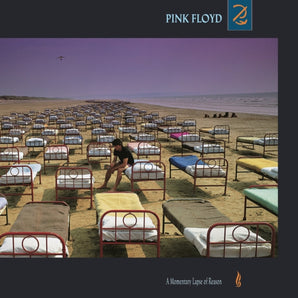 Pink Floyd - A Momentary Lapse Of Reason LP (180g)