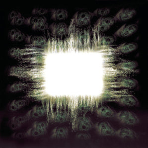 Tool - Aenima CD