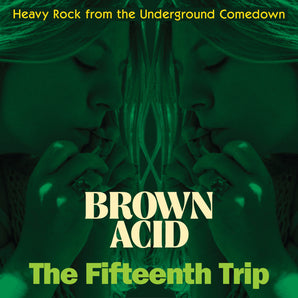 Various Artists - Brown Acid: The Fifteenth Trip LP