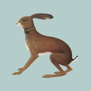 Vashti Bunyan - Lookaftering: 20th Anniversary Expanded 2LP