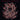 Corpus Offal - Corpus Offal CD