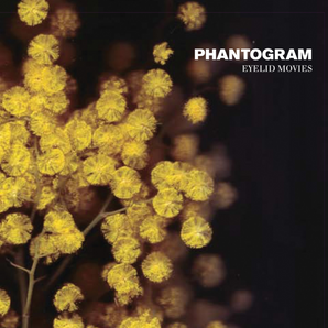 Phantogram - Eyelid Movies LP (Clear w/ Yellow Swirl Vinyl)