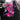 Every Time I Die - Ex-Lives LP