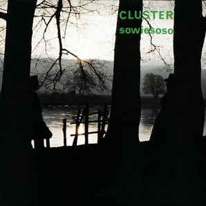 Cluster - Sowiesoso LP