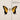 Paramore - Brand New Eyes LP