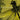 Coheed & Cambria - Second Stage Turbine Blade: 20th Anniversary LP (Transparent Black Vinyl)