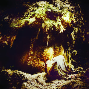 Wolves In The Throne Room - Celestial Lineage 2LP