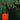 Dodheimsgard - Supervillain Outcast LP
