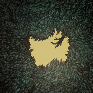 Hop Along - Get Disowned LP