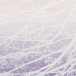 Lea Bertucci - Metal Aether / Resonant Field 2LP (MARKDOWN)