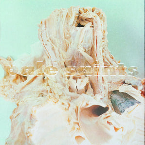 Pale Saints - In Ribbons LP (30th Anniversary Re:Masters) (MARKDOWN)