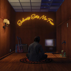 Gruff Rhys - Sadness Sets Me Free LP (Blackberry Neo-Neapolitan Vinyl) (MARKDOWN)