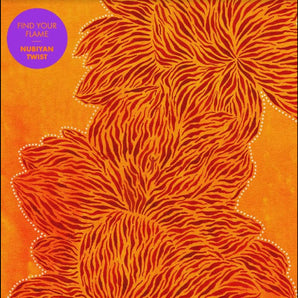 Nubiyan Twist - Find Your Flame LP