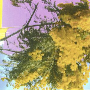 Four Tet - Into Dust (Still Falling) 12" EP