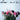 Low - Secret Name 2LP