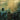 Steely Dan - Katy Lied CD