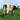 Pink Floyd - Atom Heart Mother CD