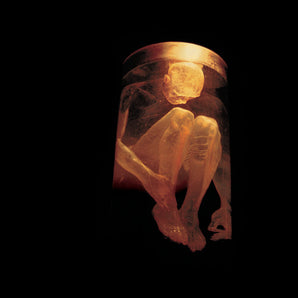 Alice In Chains - Nothing Safe: Greatest Hits CD