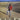 Masayoshi Takanaka - Alone CD (Import, Super High Material CD)