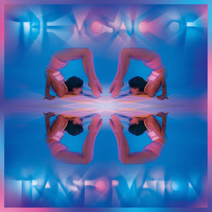 Kaitlyn Aurelia Smith - Mosaic Of Transformation (Clear Vinyl) (MARKDOWN)
