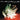 Chevelle - Wonder What's Next LP