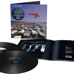 Pink Floyd - A Momentary Lapse Of Reason LP