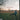 Zach Bryan - American Heartbreak CD