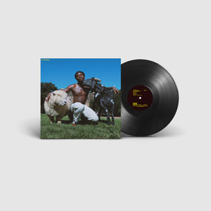 IDK - Is He Real? LP (MARKDOWN)