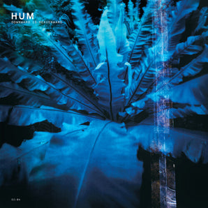 Hum - Downward Is Heavenward 2LP (Yellow Vinyl)