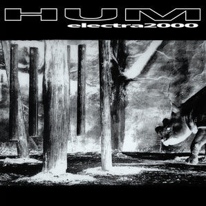 Hum - Electra 2000 2LP