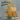 Aaron Lee Tasjan - Stellar Evolution LP (Opaque Yellow) (MARKDOWN)