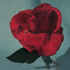 Metz - Up On Gravity Hill LP (Loser Edition Color Vinyl)