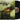 Silverstein - A Shipwreck In The Sand LP