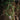 Pharmakon - Maggot Mass LP (Eutrophic Euphoria Vinyl)