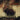 Front Line Assembly - Mechviruses CD
