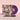The Bug Club - Very Human Features LP (Purple Vinyl)
