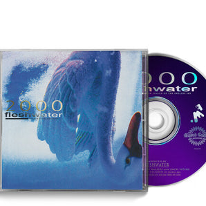 Fleshwater - 2000: In Search Of The Endless Sky CD