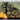 The Mountain Goats - The Sunset Tree CD