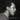 Bud Powell - The Amazing Bud Powell Vol. 1 - Remastered [Japanese Import] CD