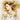 Taylor Swift - Fearless CD