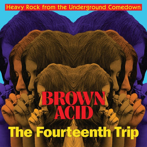 Various Artists - Brown Acid: The Fourteenth Trip LP