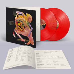 Julia Holter - Something In The Room She Moves 2LP (Red Vinyl) (MARKDOWN)