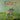 Alex G - Rocket CD