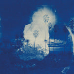 Fruit Bats - A River Running to Your Heart  (Blue And Bone Swirl Vinyl) LP (MARKDOWN)