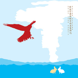 Sufjan Stevens - Enjoy Your Rabbit 2LP
