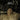Faust - Something Dirty LP