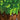 Minecraft Volume Alpha (C418) - Soundtrack CD