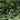 Gas - Der Lange Marsch CD