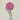 Broken Bells - Into The Blue LP