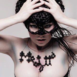 Bjork - Medulla 2LP